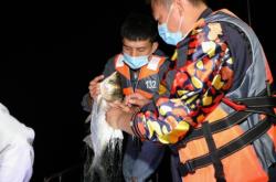 赤峰水政支隊電話是多少號