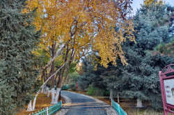 赤峰市全寧街車檢電話號(hào)碼