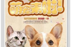 赤峰貓狗寵物店電話號(hào)碼