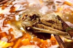 赤峰羊苗代收點(diǎn)地址電話查詢