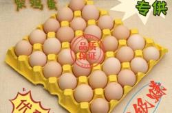 赤峰市雞蛋廠地址電話號碼