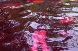 赤峰悅溫泉門(mén)票團(tuán)購(gòu)電話(huà)號(hào)碼