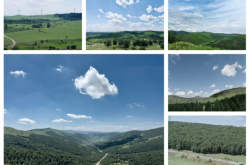 青島到赤峰政策查詢電話多少