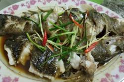 赤峰老馬飯店電話多少號(hào)碼