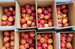 赤峰蘋果店鋪電話多少號碼