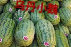 赤峰手機(jī)號碼大全