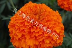 赤峰賣尚赫產(chǎn)品的電話號(hào)碼