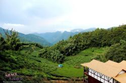 赤峰星馳民宿電話多少號