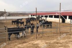 林西到赤峰的班車電話號碼是多少