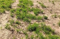 赤峰市出售木托盤電話號碼