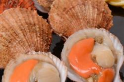 赤峰扇貝批發(fā)電話是多少號(hào)