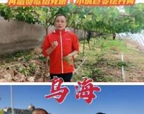 赤峰市央視報道電話號碼是多少