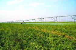 赤峰市種牛廠地址電話號碼