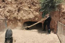 赤峰收豬經(jīng)紀(jì)人電話號碼