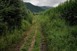 赤峰山貨交易中心電話地址查詢