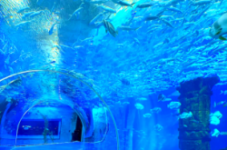 赤峰市海底樂(lè)園電話地址查詢