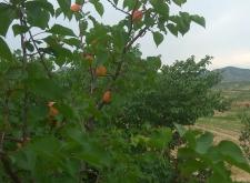 赤峰市寧城泰和賓館電話號碼