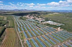 最新進(jìn)赤峰政策查詢電話是多少