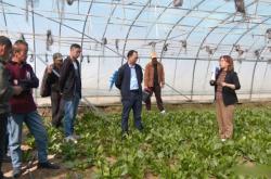 赤峰市大棚招工信息電話號碼