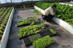 赤峰平莊玻璃膜廠電話號(hào)碼