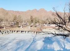 赤峰紅山尚景商廳電話號碼