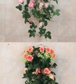 赤峰藤條裝飾公司電話多少號(hào)