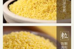 赤峰小米貨倉電話號碼查詢是多少