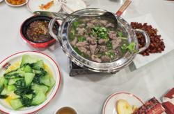 赤峰摩爾城動(dòng)物城