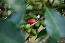 赤峰市林東豆包店電話(huà)號(hào)碼