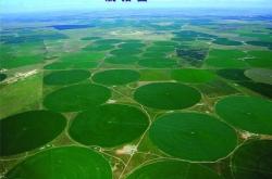 赤峰阿旗牧草收購(gòu)電話地址是多少