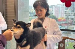 赤峰狗狗針灸醫(yī)院電話號(hào)碼多少