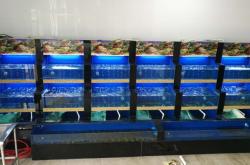 赤峰魚缸架定做店電話地址查詢