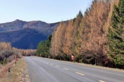 赤峰濱河公園釣魚地點電話號碼