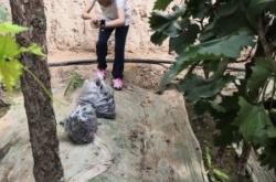 赤峰騰潤采摘園地址電話號碼