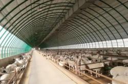 赤峰種植大棚電話多少啊