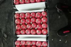 赤峰自助水果超市地址電話號碼