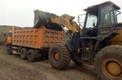 赤峰求購茶苗電話號碼查詢