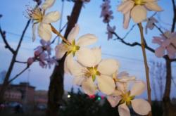 赤峰紅山區(qū)垂釣園電話號(hào)碼