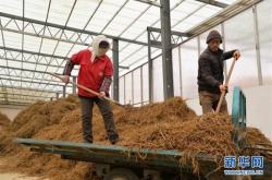 赤峰世昌藥材市場地址電話號碼