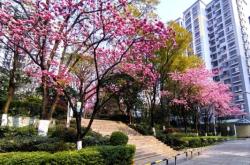 赤峰澤泰汽貿(mào)電話號(hào)碼查詢