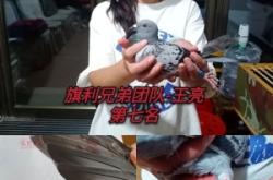 赤峰王府鎮(zhèn)幼兒園電話號(hào)碼