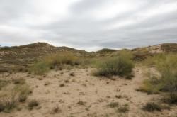 赤峰狼圖騰救援隊電話號碼