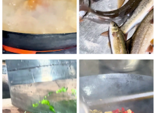 赤峰松山區(qū)魚具店電話號碼