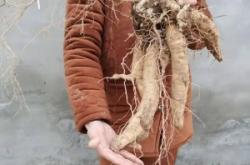 赤峰華聯(lián)影院電話多少啊