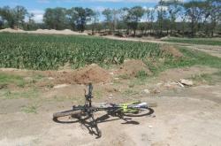 赤峰乃林鎮(zhèn)超市電話號(hào)碼