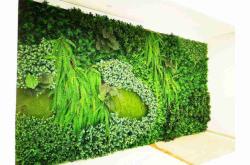 赤峰植物墻廠家聯(lián)系電話號碼