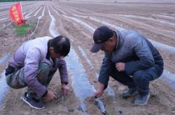 赤峰虹凱雜糧店電話號碼查詢