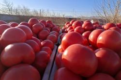赤峰大廟鎮(zhèn)拼車群電話號碼