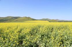 伊春至赤峰物流專線電話號碼