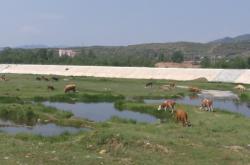 赤峰水文站上班地點(diǎn)電話號(hào)碼